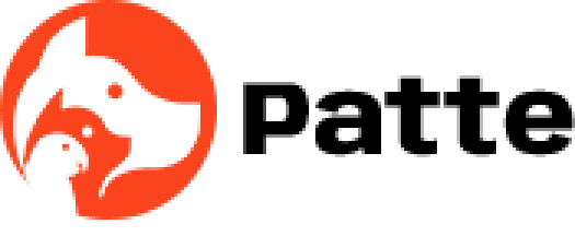 Köpek Oteli, İstanbul Köpek Oteli